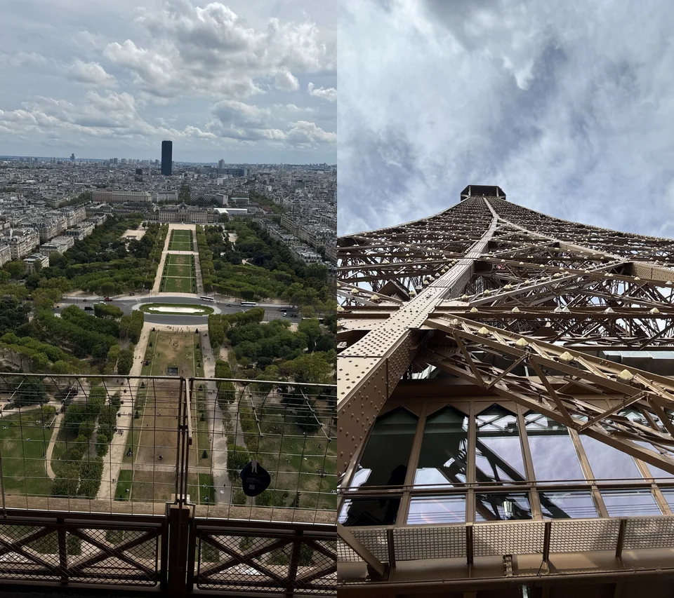 Elle se demanda si le ciel était vraiment à sa portée. En levant les yeux, elle aperçut un oiseau qui semblait plus audacieux qu’elle. Dans un élan de défi, elle lui cria : « Tu veux ma place ? » Mais il continua son vol.